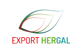LOGO EXPORT HERGAL
