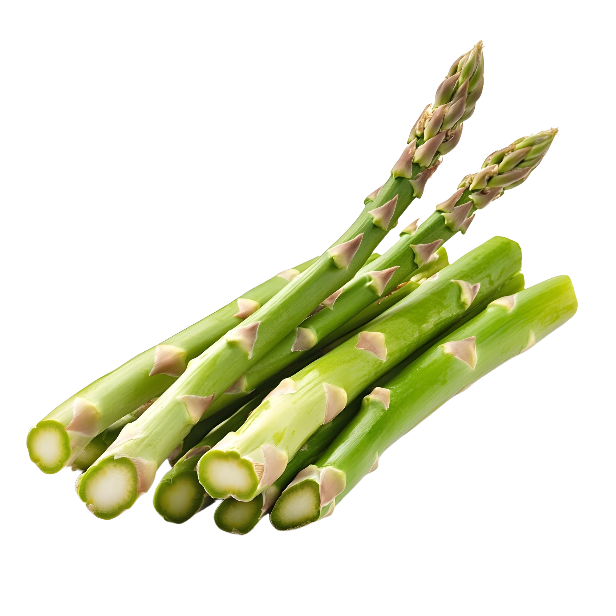 Esparragos