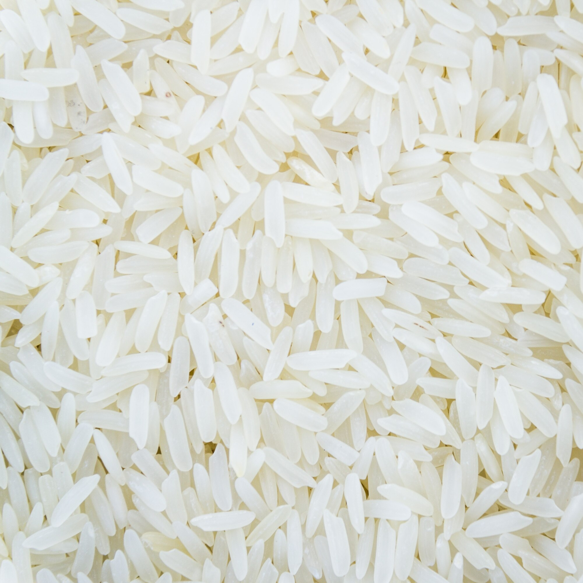 Fondo crudo arroz