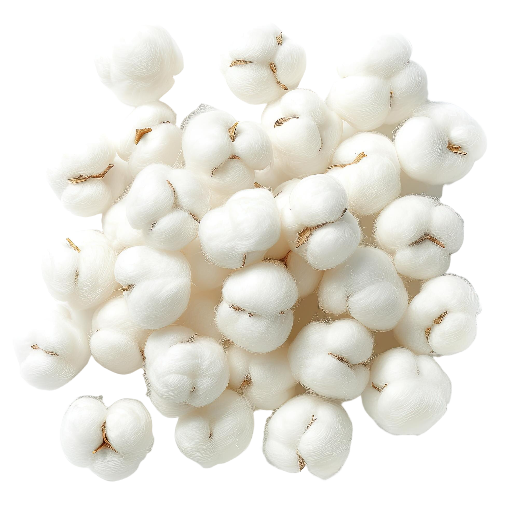 Imagen aguda foto bolas algodon aisladas sobre fondo blanco