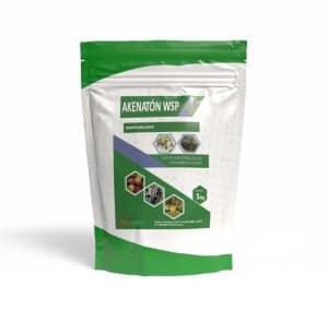 Akenatón WSP