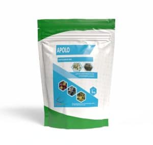 Apolo